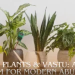 Money Plants & Vastu: Ancient Wisdom for Modern Abundance